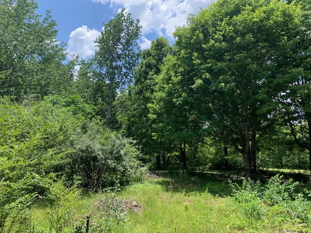 Image for Estate Auction 7 acres on Morris Road - Lewis County - House & 7.3 acres