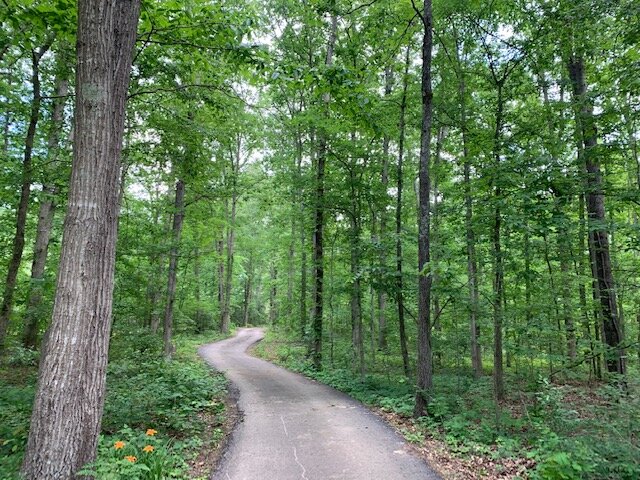 Image for Estate Auction 7 acres on Morris Road - Lewis County - House & 7.3 acres