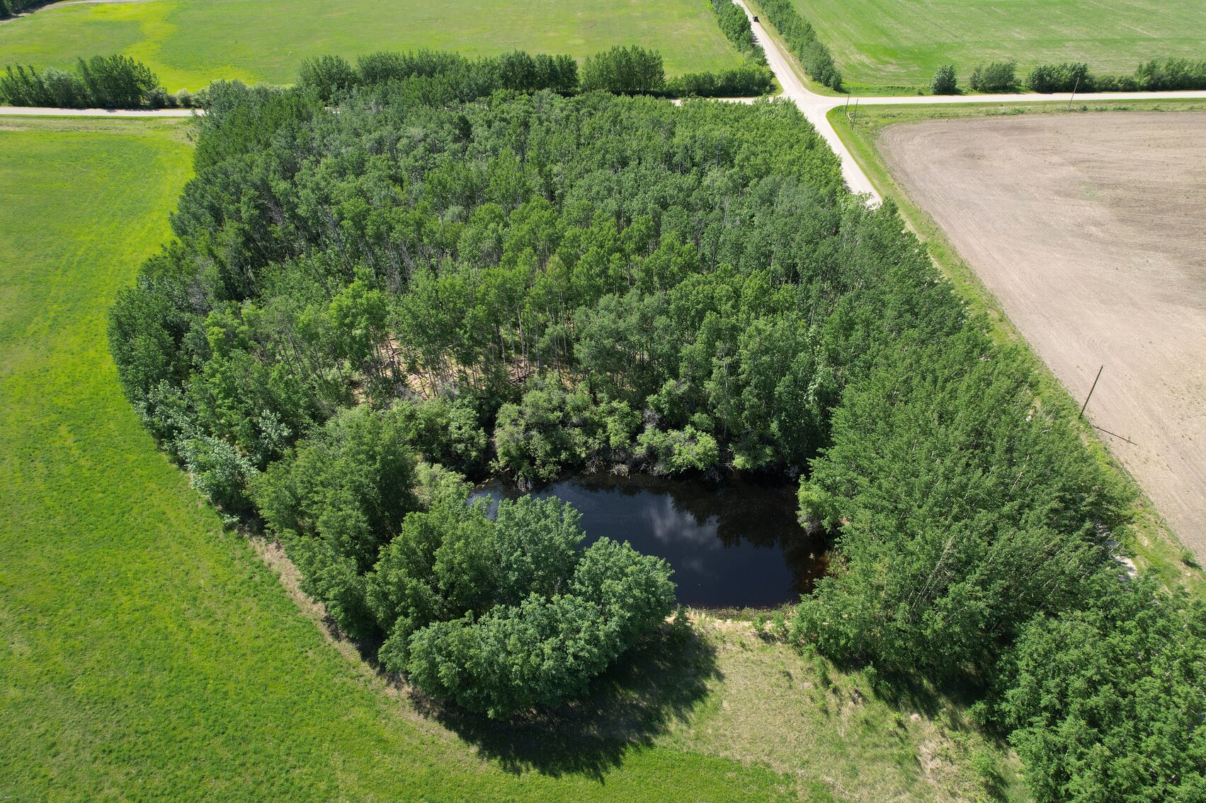 Image for BEAVERLODGE LAND SALE