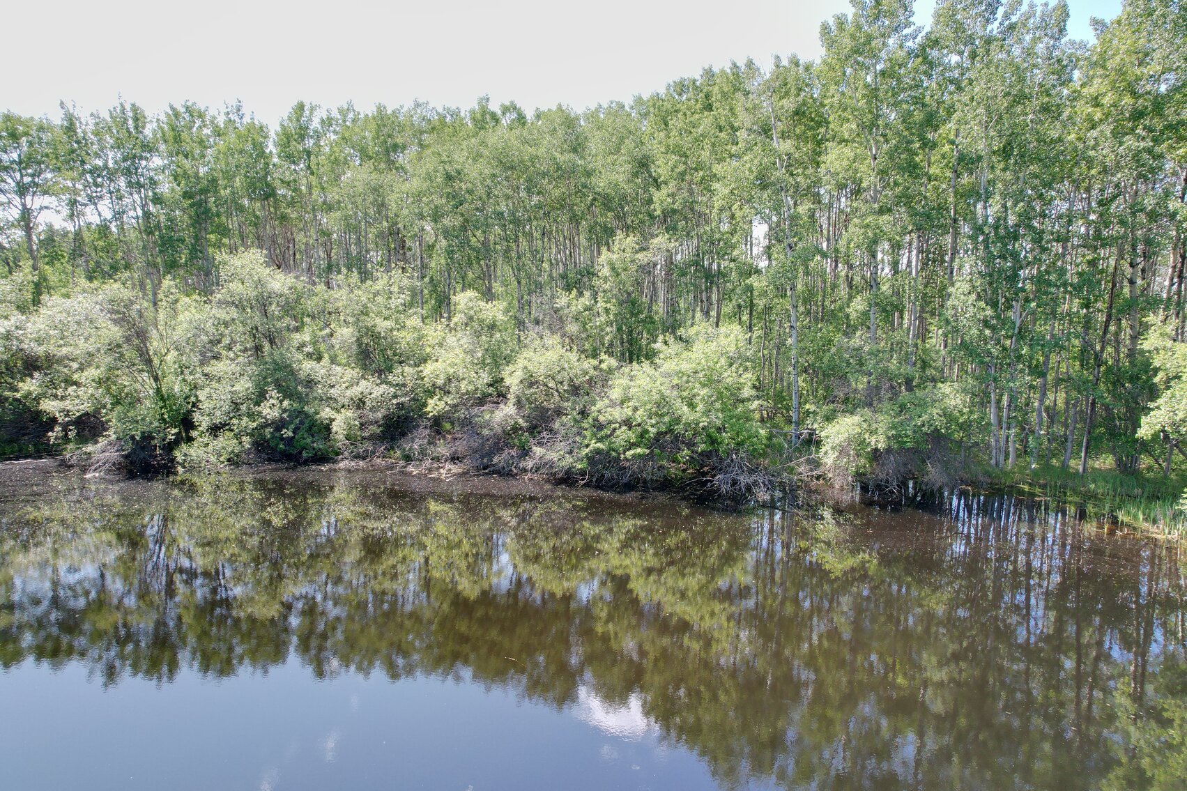 Image for BEAVERLODGE LAND SALE