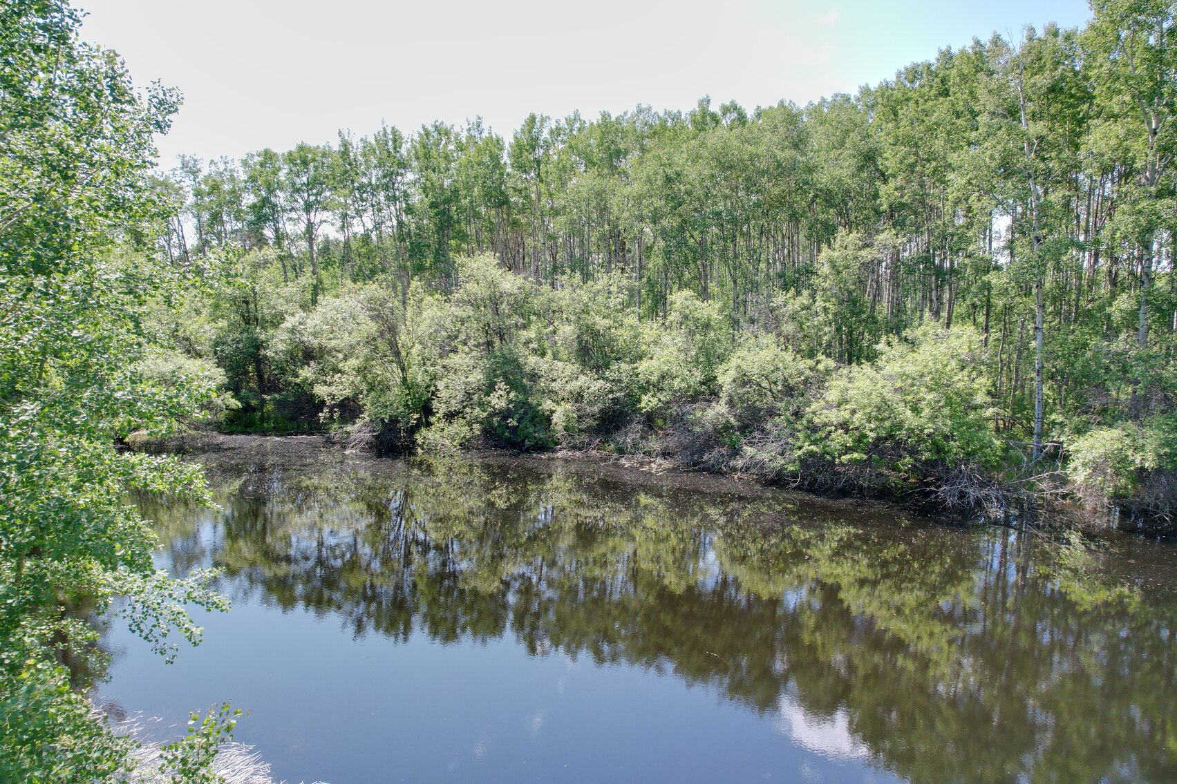 Image for BEAVERLODGE LAND SALE