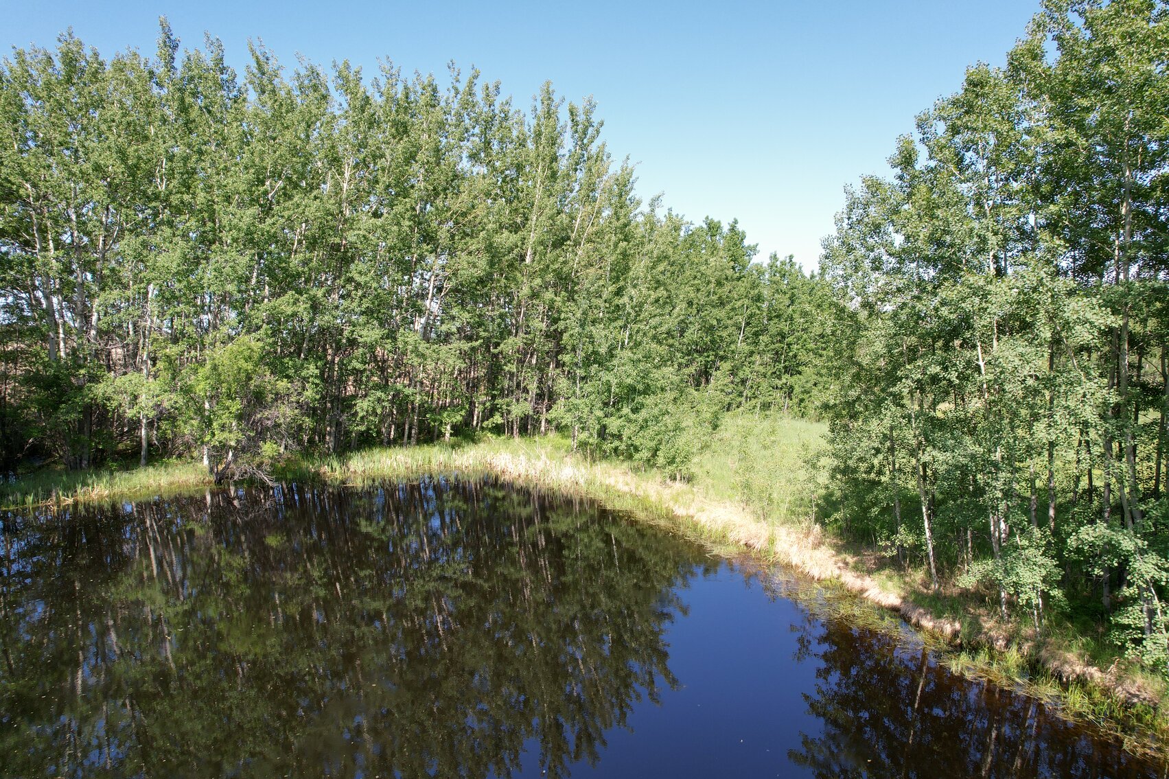 Image for BEAVERLODGE LAND SALE