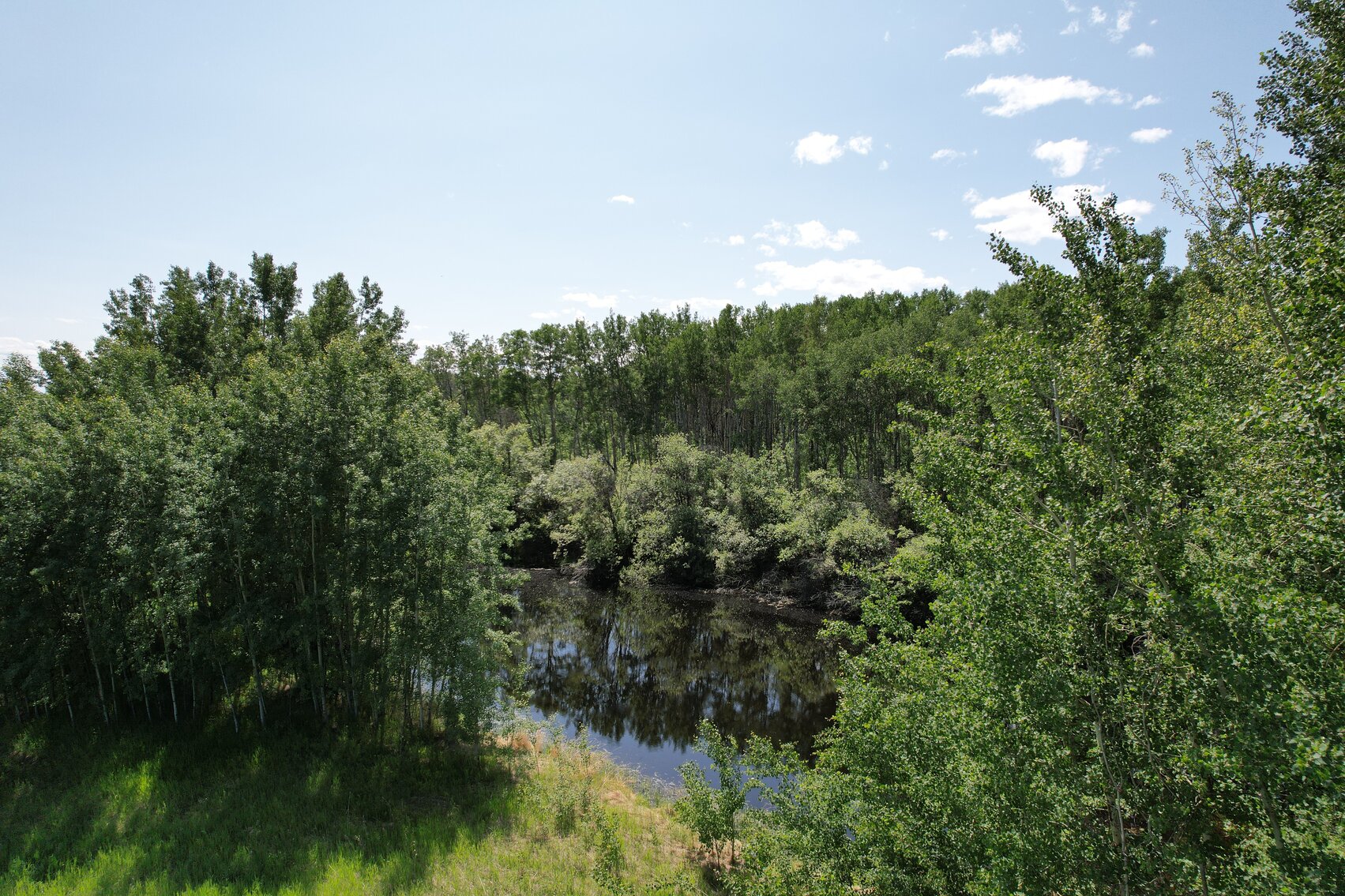 Image for BEAVERLODGE LAND SALE