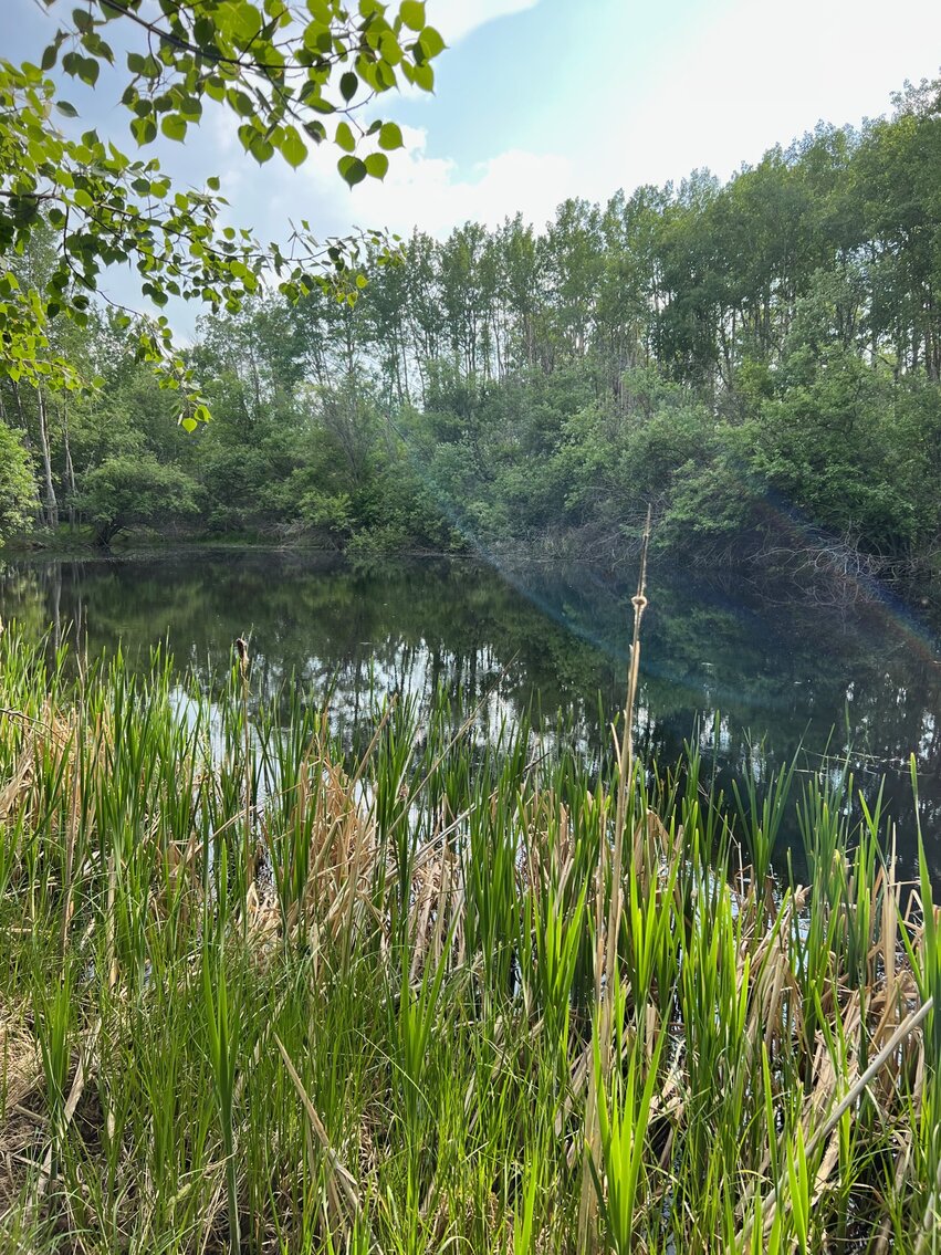 Image for BEAVERLODGE LAND SALE