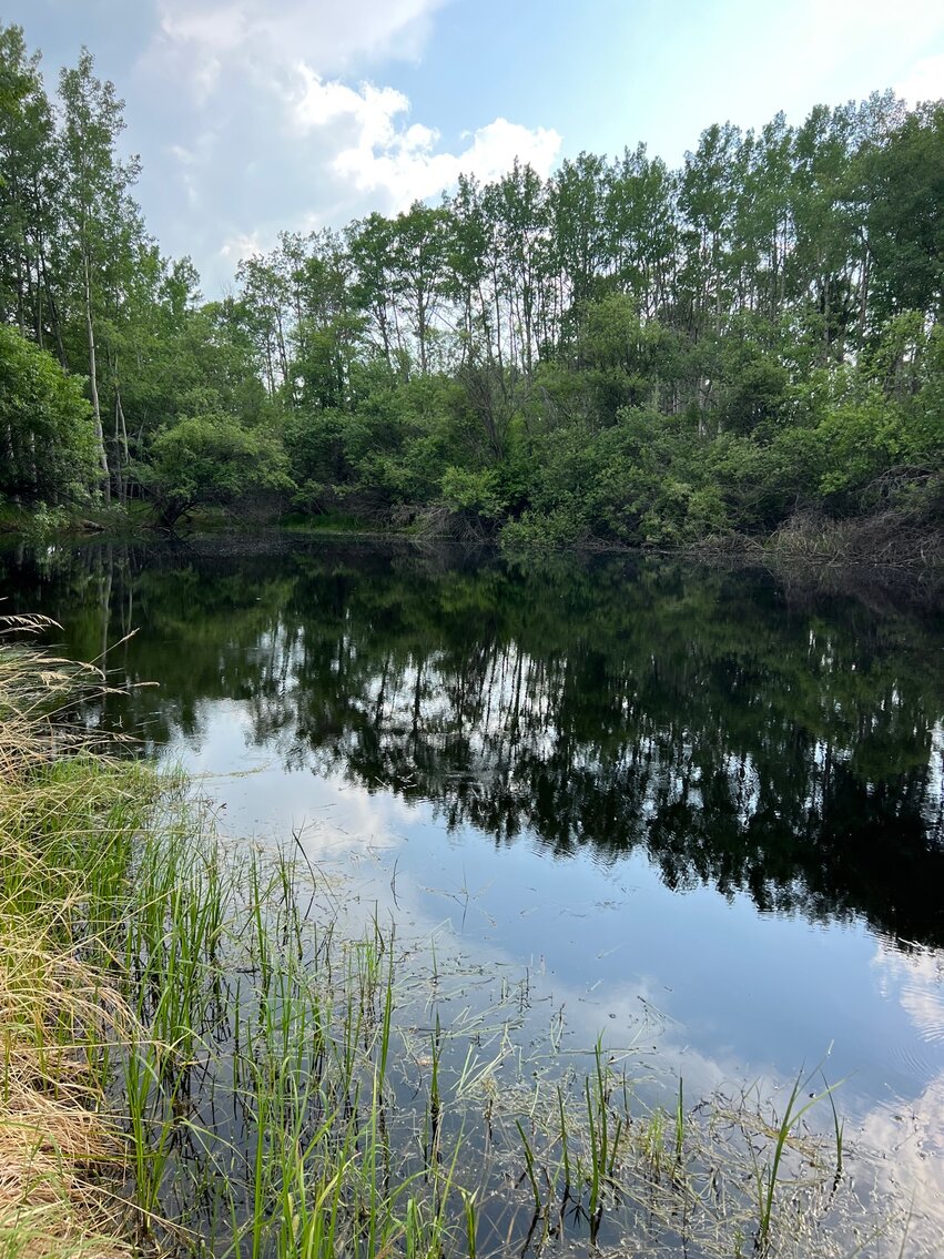 Image for BEAVERLODGE LAND SALE