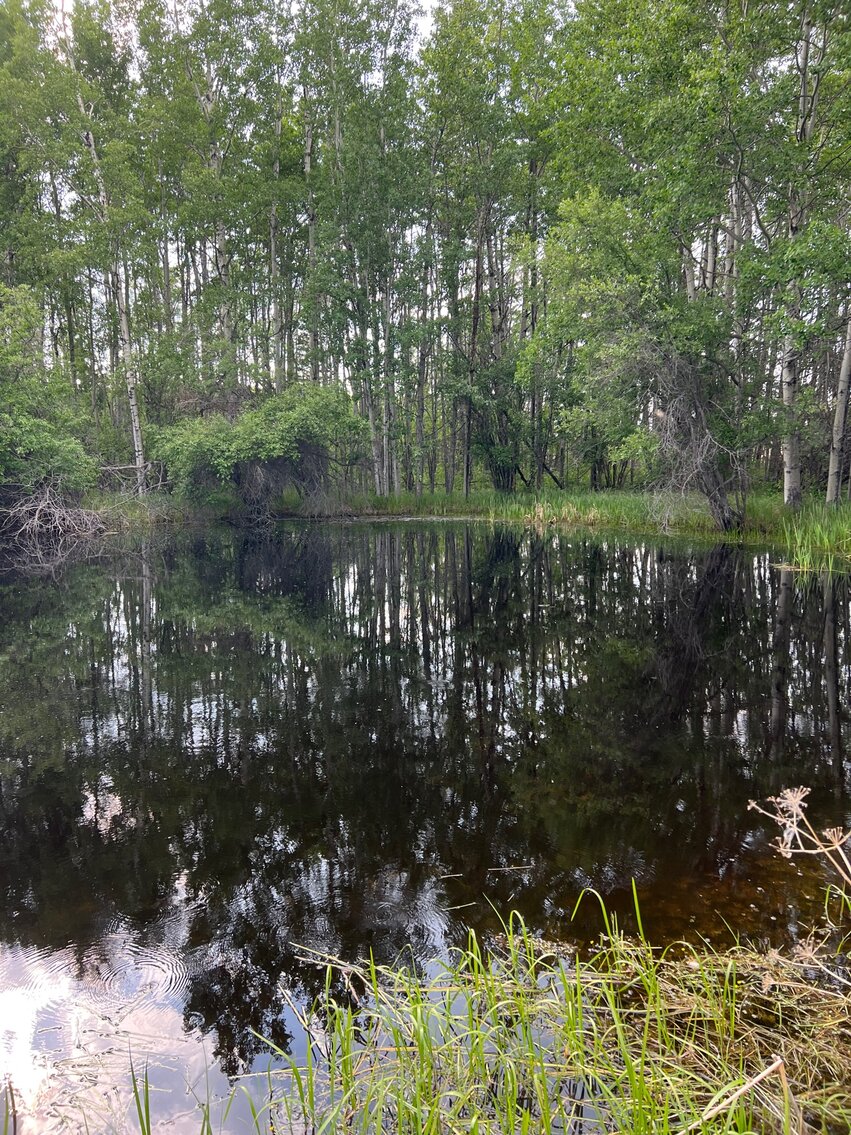 Image for BEAVERLODGE LAND SALE