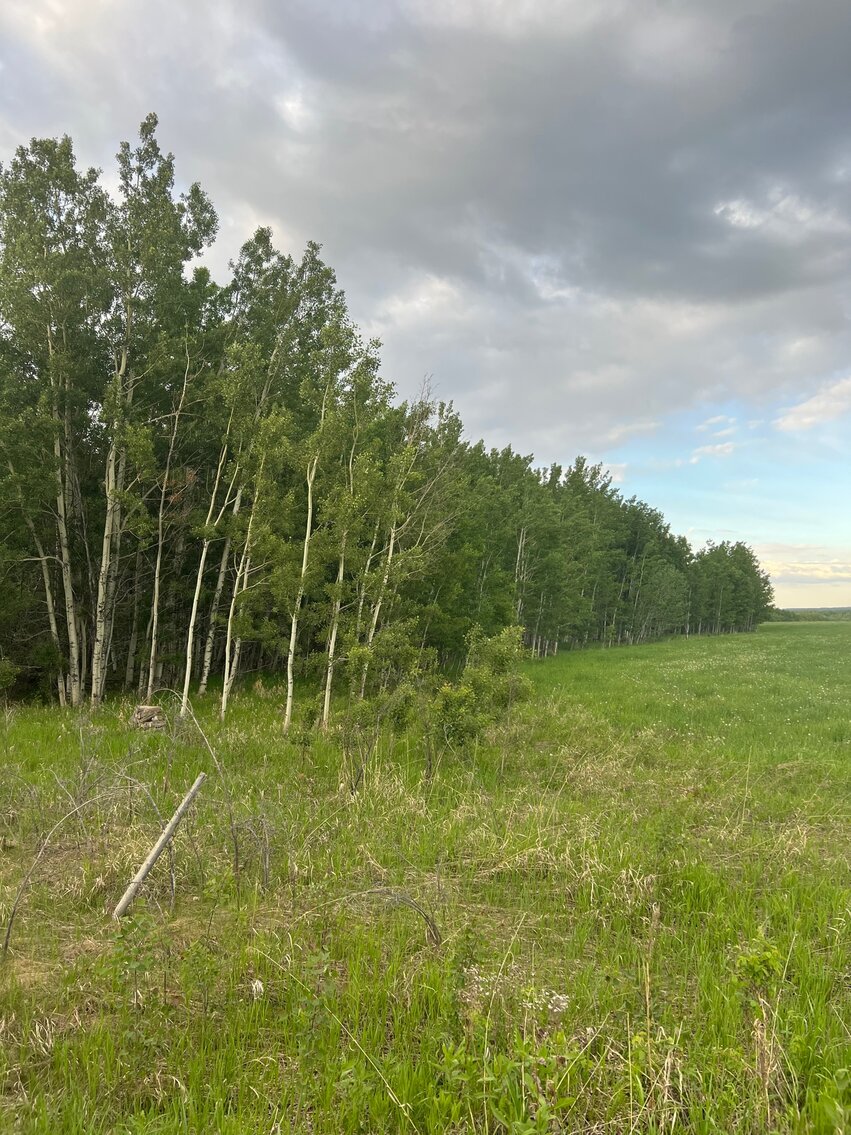 Image for BEAVERLODGE LAND SALE