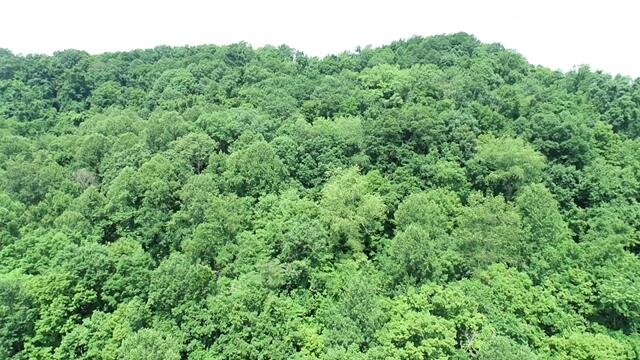 Image for SOLD $17,600 - 15 Acres Selling to the Highest Bidder