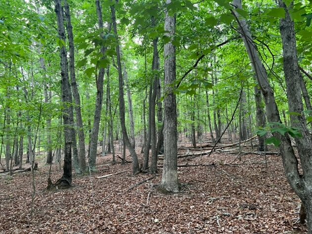 Image for 7.87 Acres in Amherst County, VA