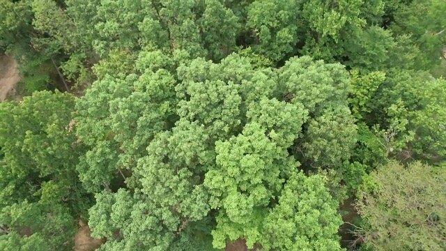 Image for Over 16 Acres of Developable Land with No Restrictions