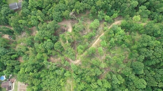 Image for Over 16 Acres of Developable Land with No Restrictions