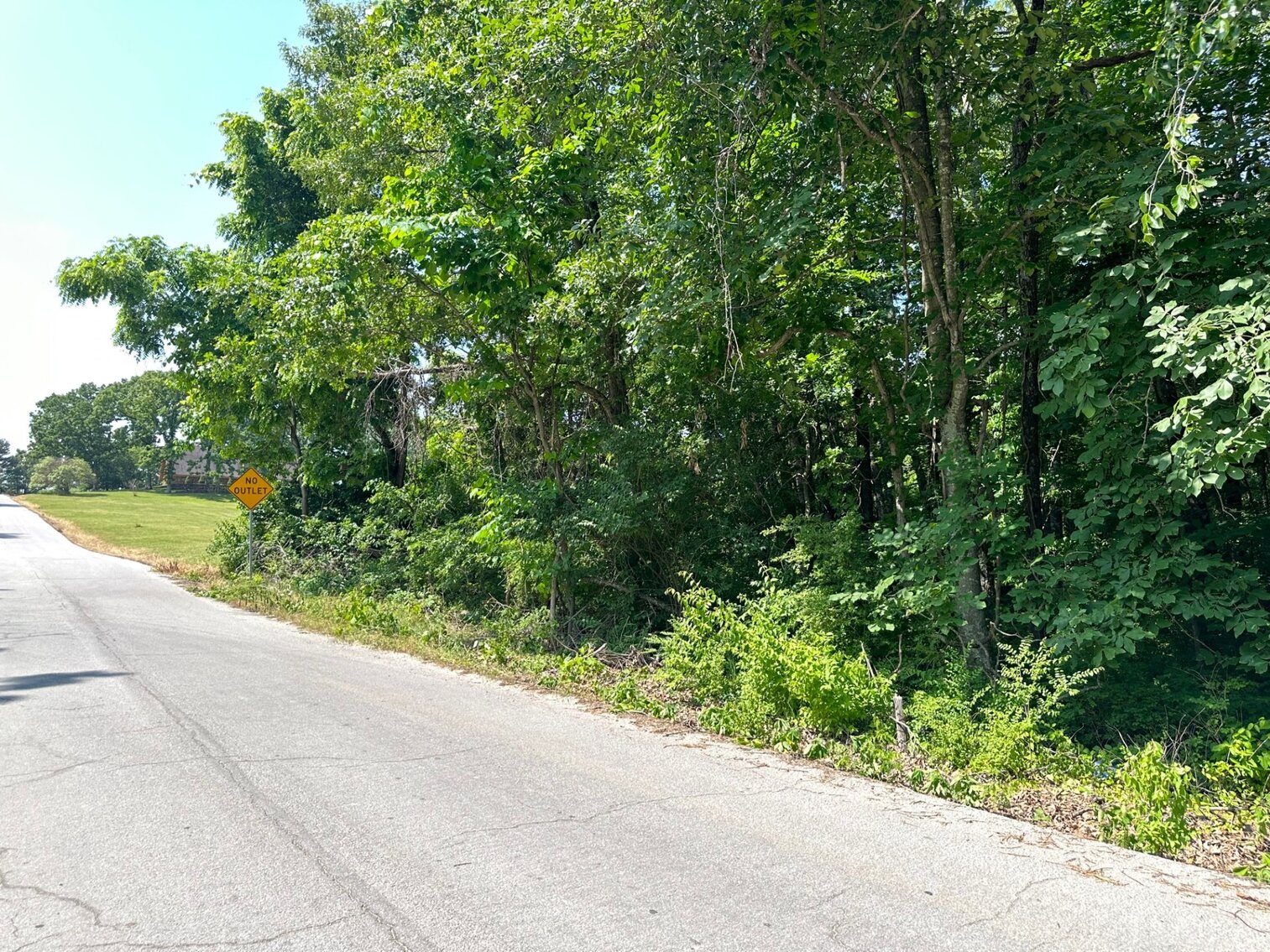 Image for McClintock Property Land Auction