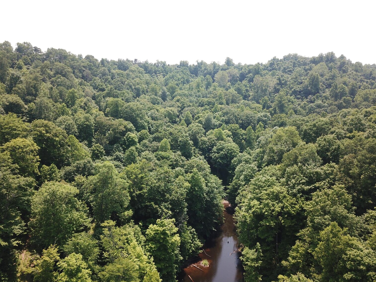 SOLD 206,250 100 Acres with Cabin & Stocked Pond