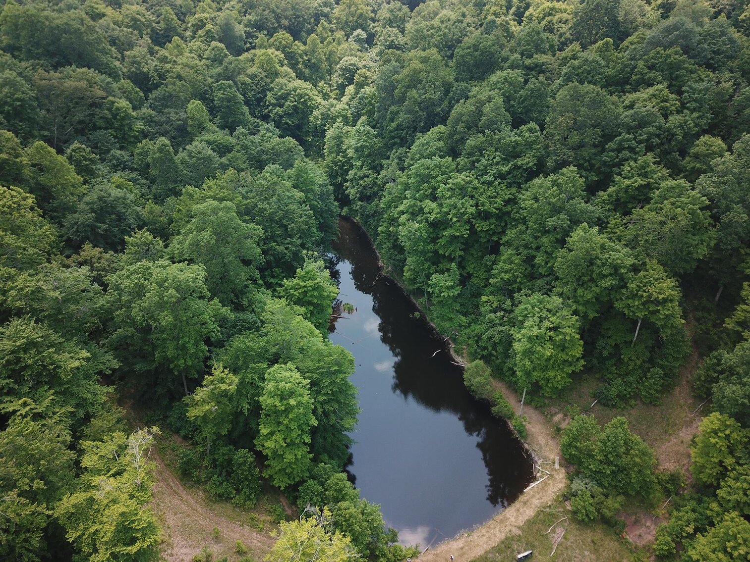 SOLD 206,250 100 Acres with Cabin & Stocked Pond
