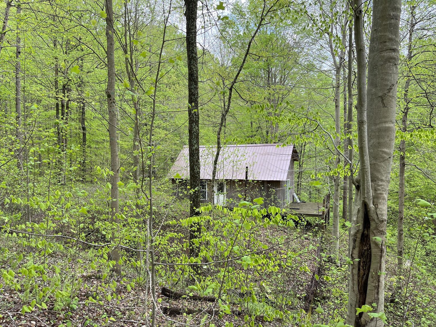 SOLD 206,250 100 Acres with Cabin & Stocked Pond