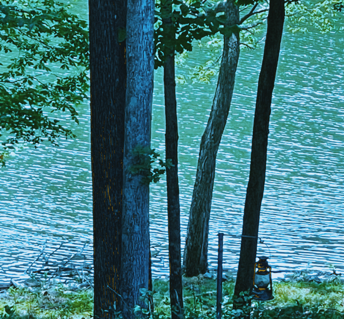 Image for ABSOLUTE ESTATE AUCTION • LAKE BARKLEY WATERFRONT HOME