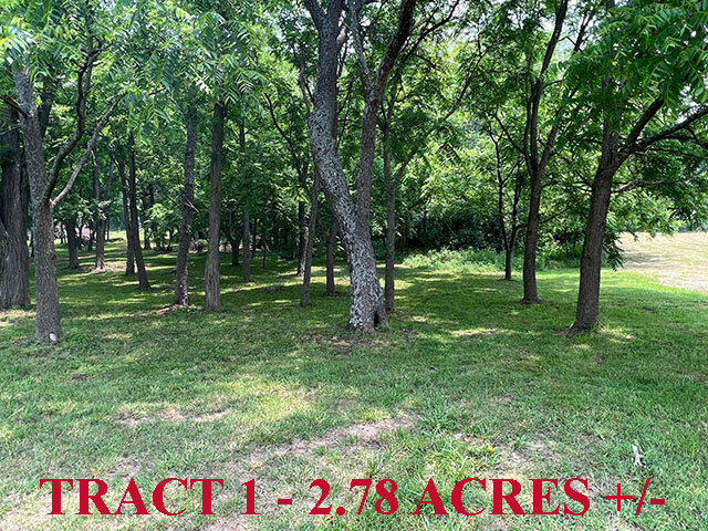 Image for SATURDAY, JUNE 24th * 10:00 AM