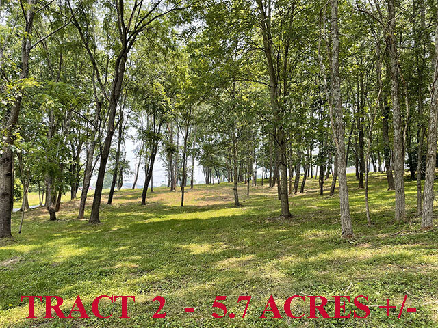 Image for SATURDAY, JUNE 24th * 10:00 AM