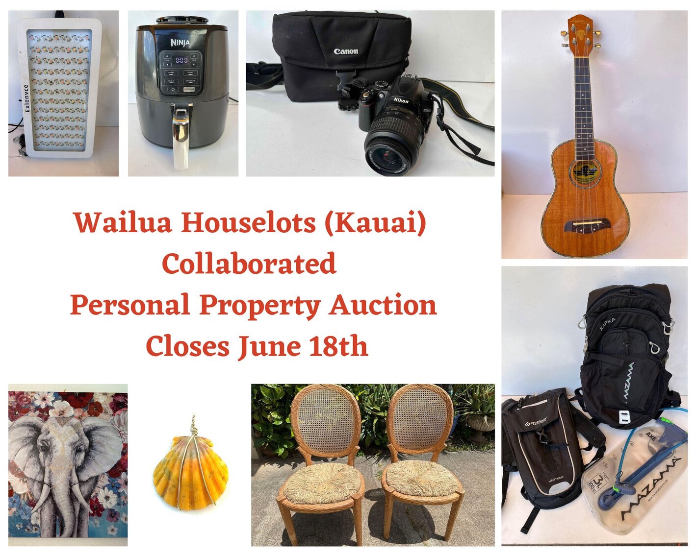 06/18 Wailua Houselots (KAUAI) Collaborated Personal Property Auction