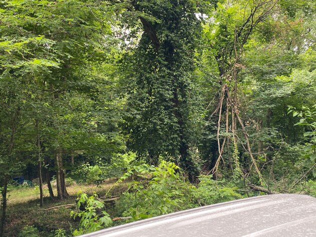 Image for ABSOLUTE ONLINE ONLY ESTATE AUCTION • +/-4 ACRE TRACT