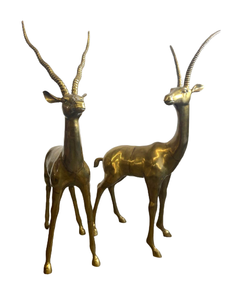 Image for Home and Décor | June 29, 2023 at 8:00 PM