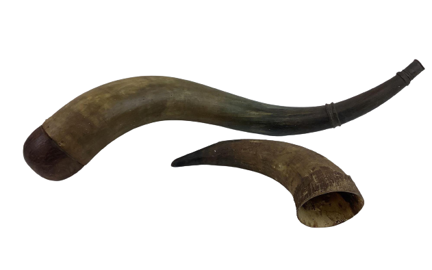 Image for Home and Décor | June 29, 2023 at 8:00 PM