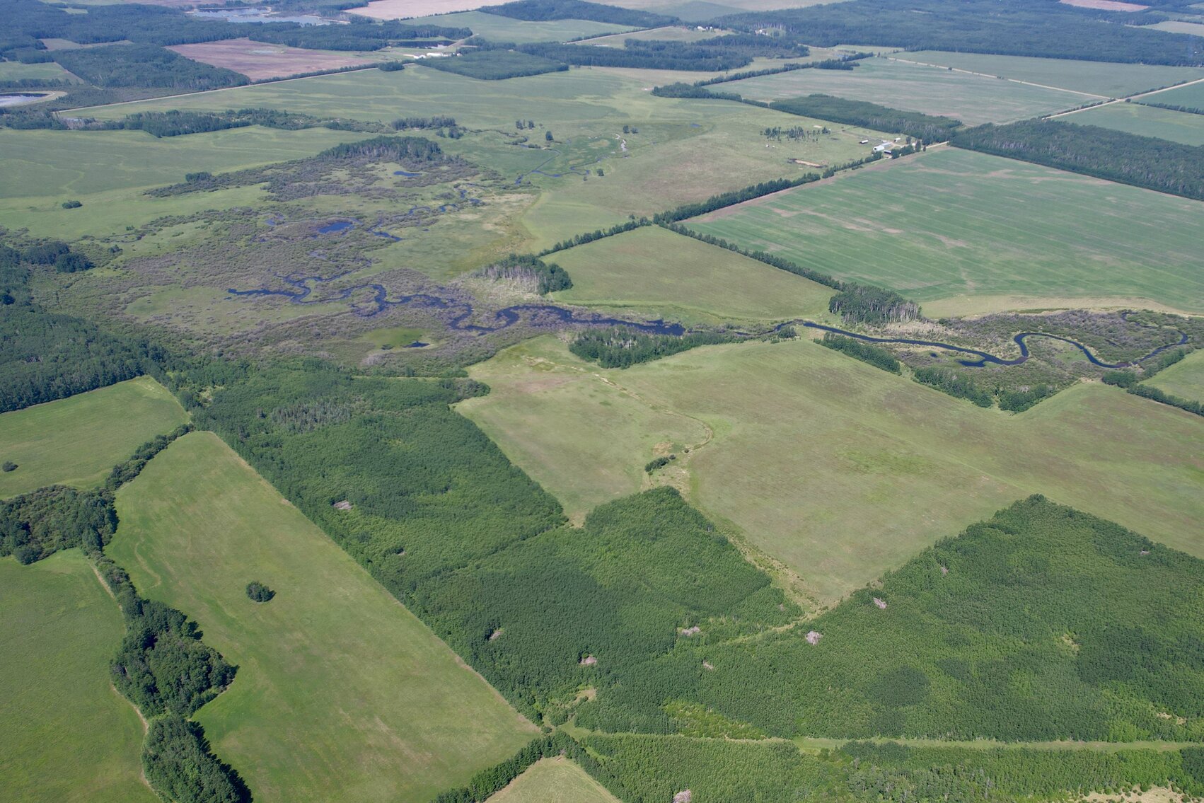 Image for GOODFARE HALF SECTION