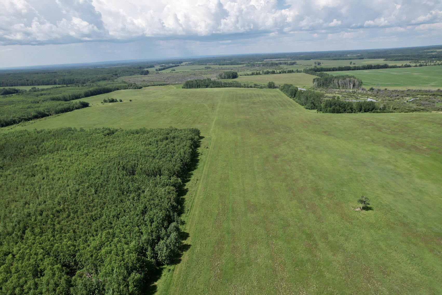 Image for GOODFARE HALF SECTION