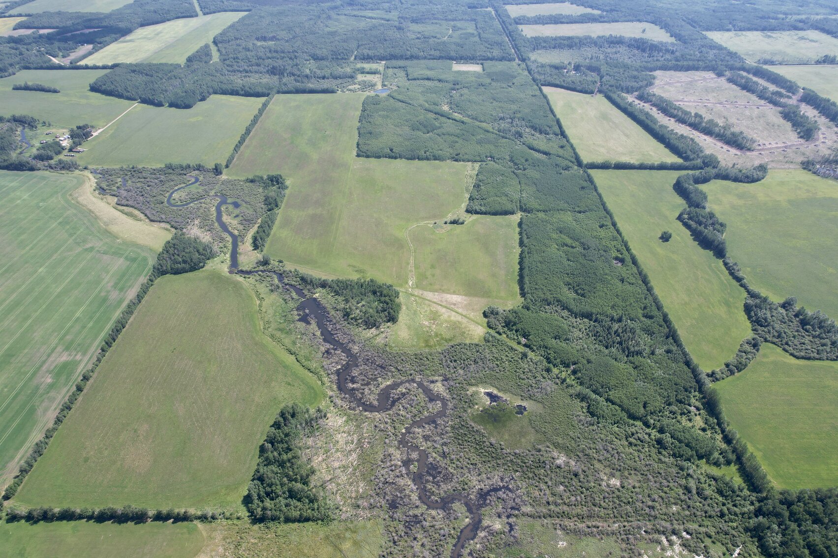 Image for GOODFARE HALF SECTION