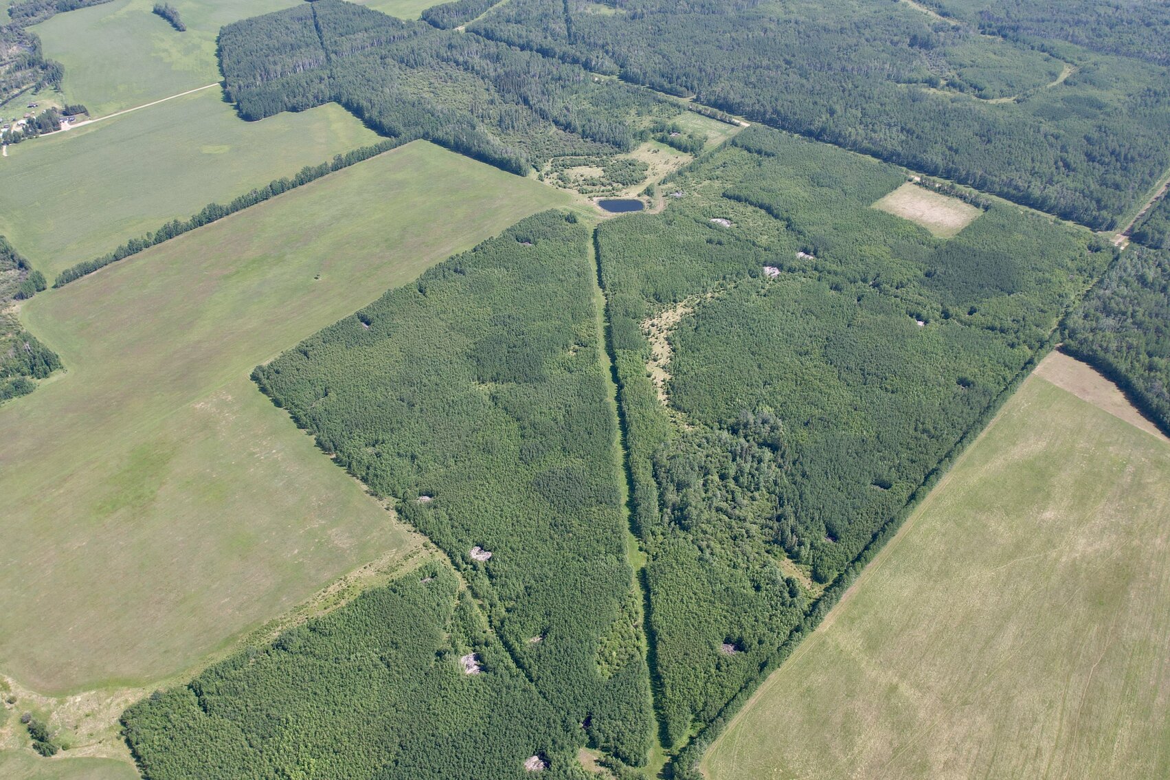 Image for GOODFARE HALF SECTION