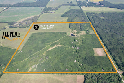 Image for GOODFARE HALF SECTION