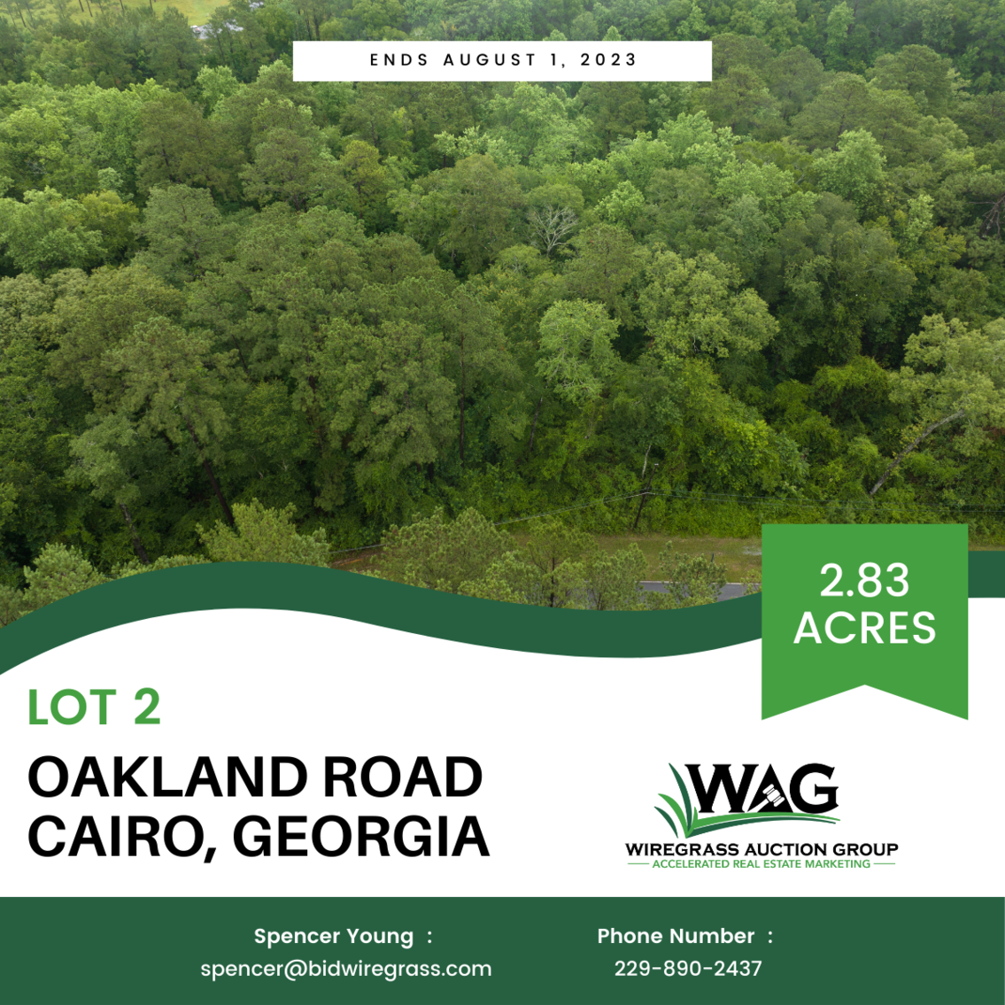 Image for 9 Residential Lots in the City Limits of Cairo