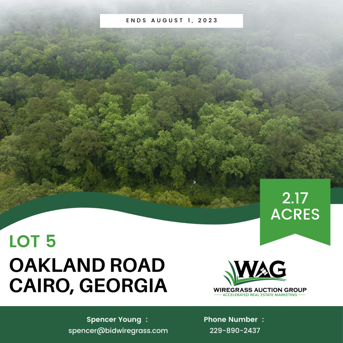 Image for 9 Residential Lots in the City Limits of Cairo