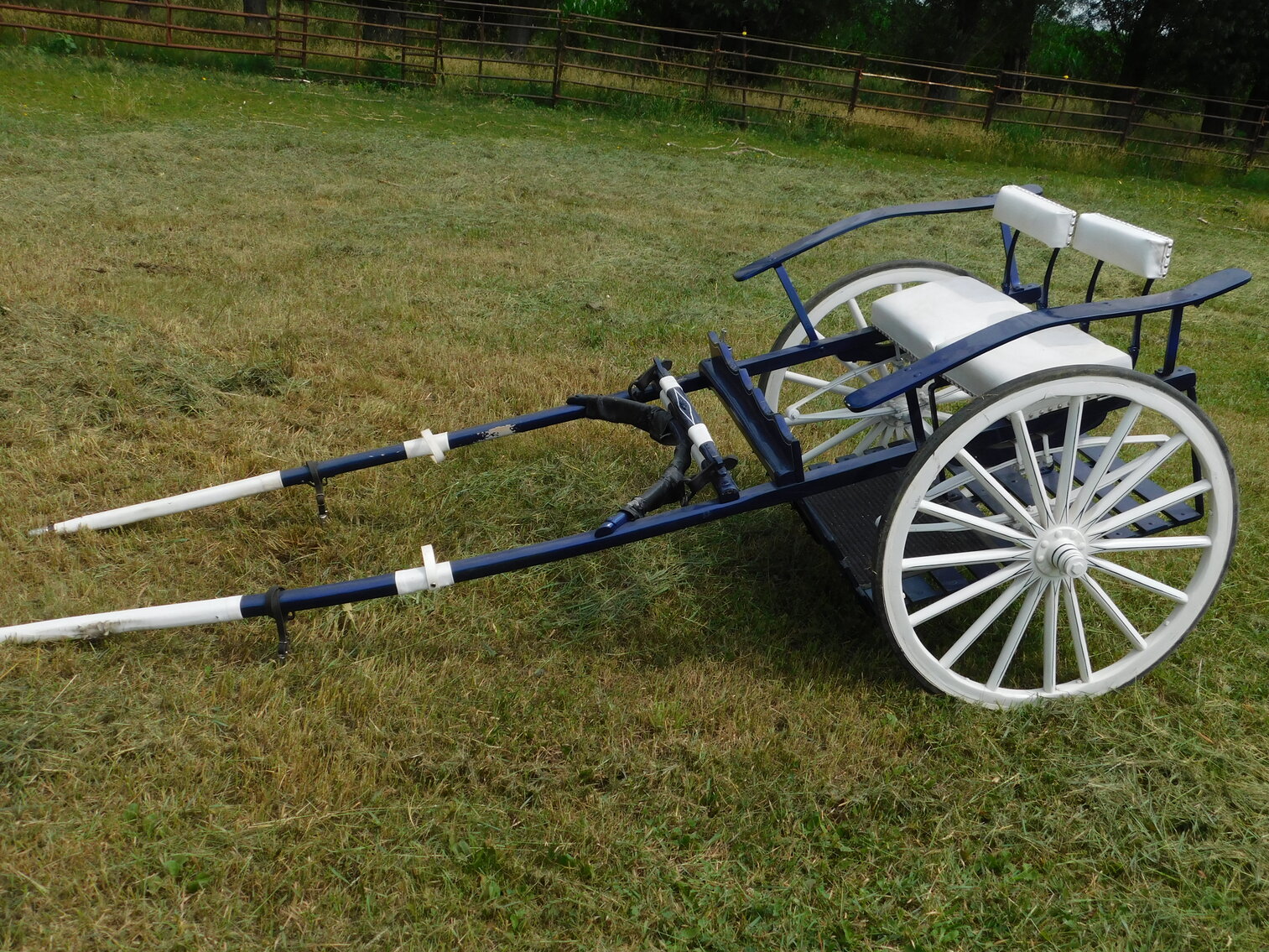 Image for Shirley and The Late Paul Wolf Downsizing Auction