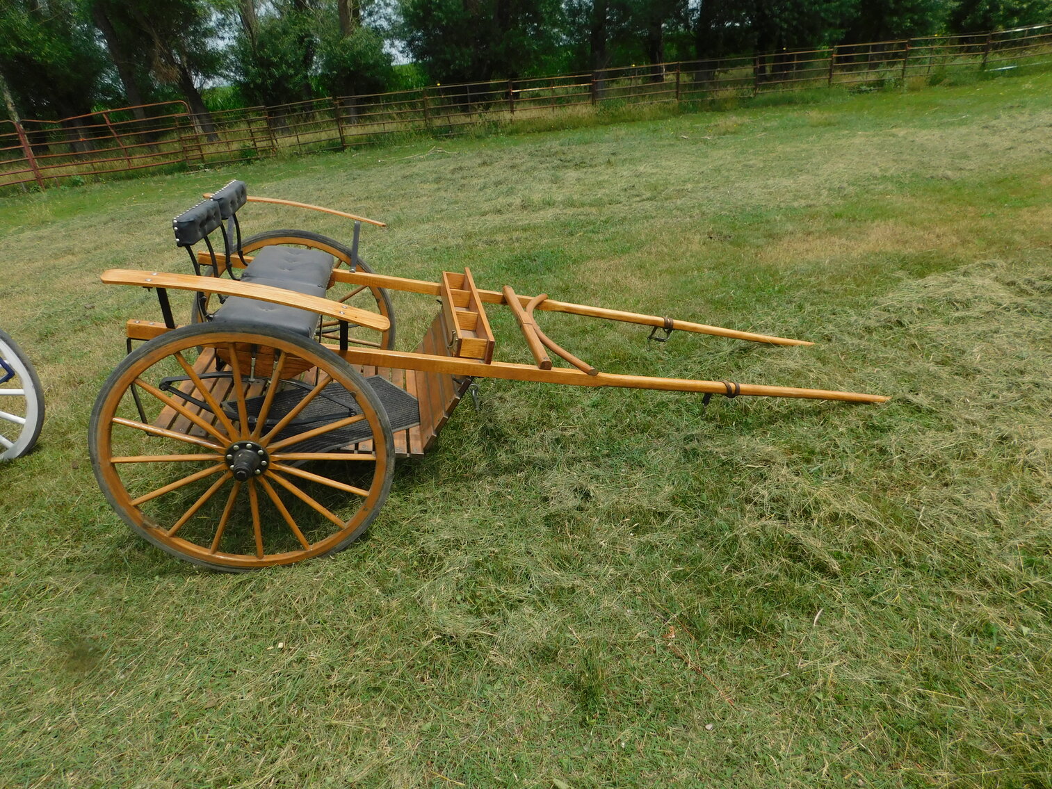 Image for Shirley and The Late Paul Wolf Downsizing Auction