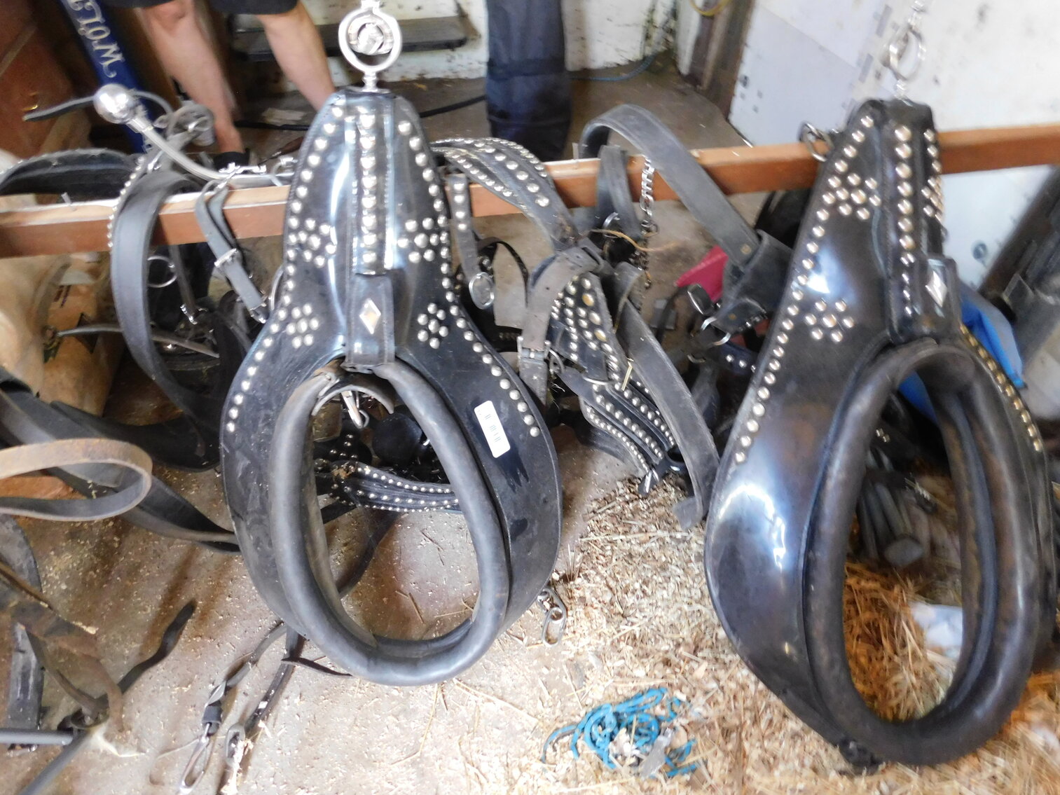 Image for Shirley and The Late Paul Wolf Downsizing Auction