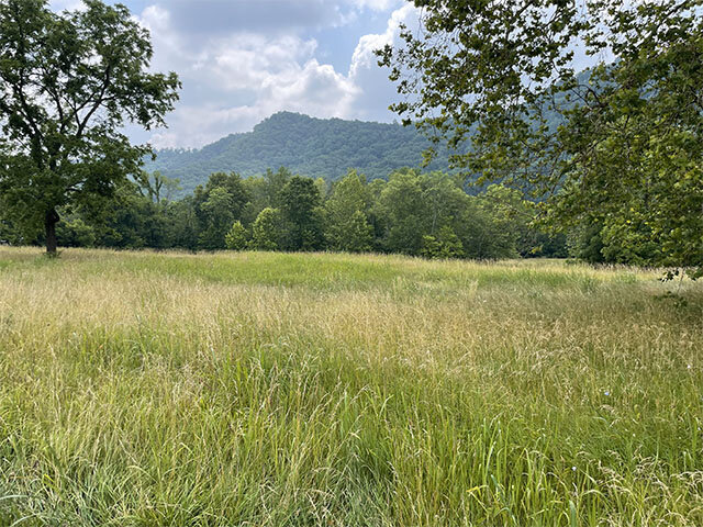 Image for 2401 VOLUNTEER PARKWAY BRISTOL, TN 37620