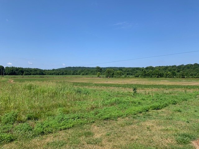 Image for Nickell Estate - Brick Home & 1.5 acres and 3.3 acres