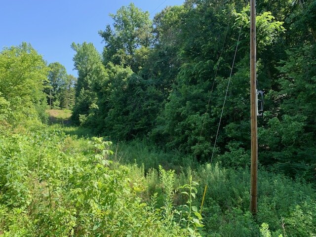 Image for Nickell Estate - Brick Home & 1.5 acres and 3.3 acres