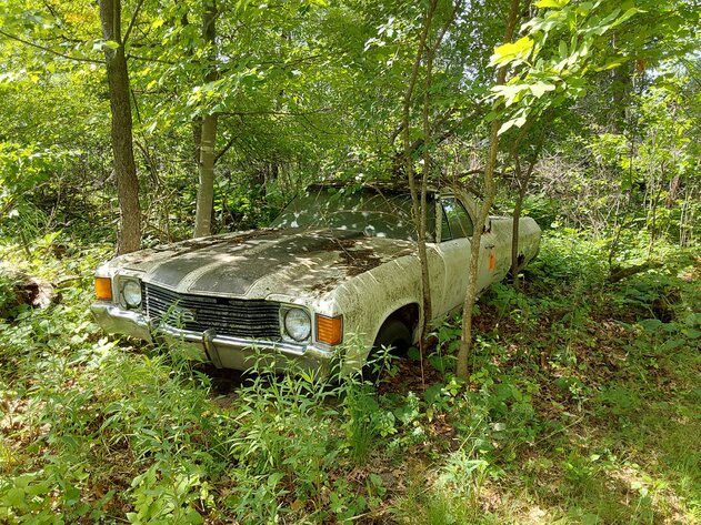 Image for Willard Davis Phase 2