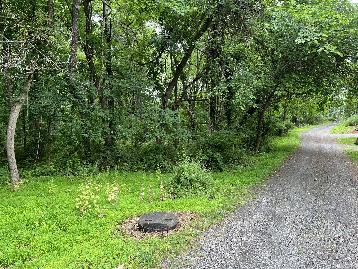 Image for 3.95 +/- Acres Featuring 8 Building Lots w/All Water & Sewer Tap Fees PAID in Fauquier County, VA--ONLINE BIDDING ONLY!!!