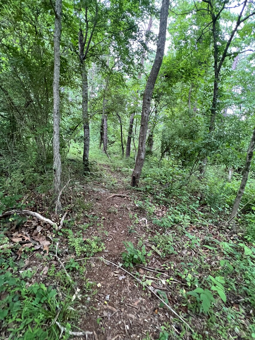 Image for 3.95 +/- Acres Featuring 8 Building Lots w/All Water & Sewer Tap Fees PAID in Fauquier County, VA--ONLINE BIDDING ONLY!!!