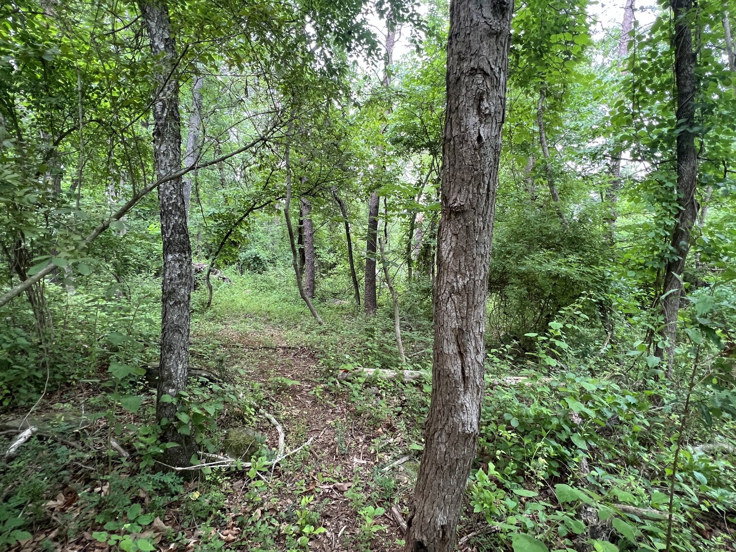 Image for 3.95 +/- Acres Featuring 8 Building Lots w/All Water & Sewer Tap Fees PAID in Fauquier County, VA--ONLINE BIDDING ONLY!!!