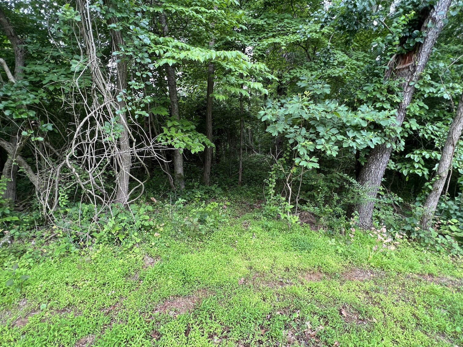 Image for 3.95 +/- Acres Featuring 8 Building Lots w/All Water & Sewer Tap Fees PAID in Fauquier County, VA--ONLINE BIDDING ONLY!!!