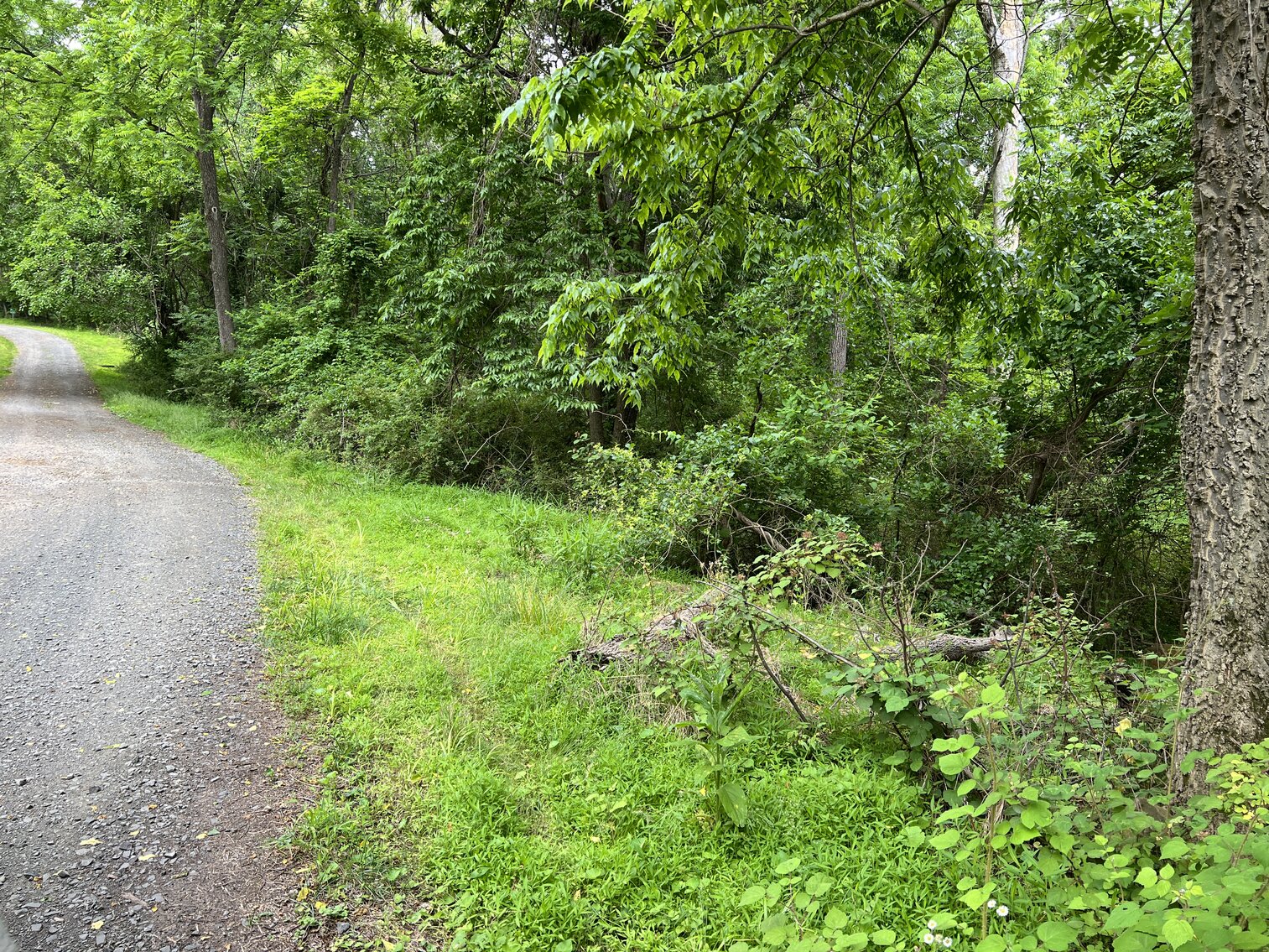 Image for 3.95 +/- Acres Featuring 8 Building Lots w/All Water & Sewer Tap Fees PAID in Fauquier County, VA--ONLINE BIDDING ONLY!!!