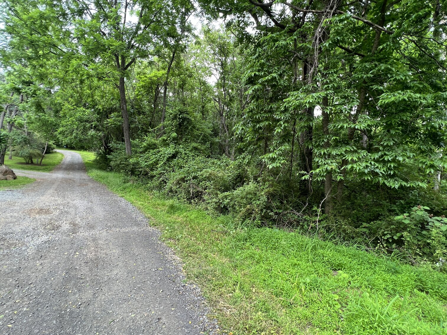 Image for 3.95 +/- Acres Featuring 8 Building Lots w/All Water & Sewer Tap Fees PAID in Fauquier County, VA--ONLINE BIDDING ONLY!!!