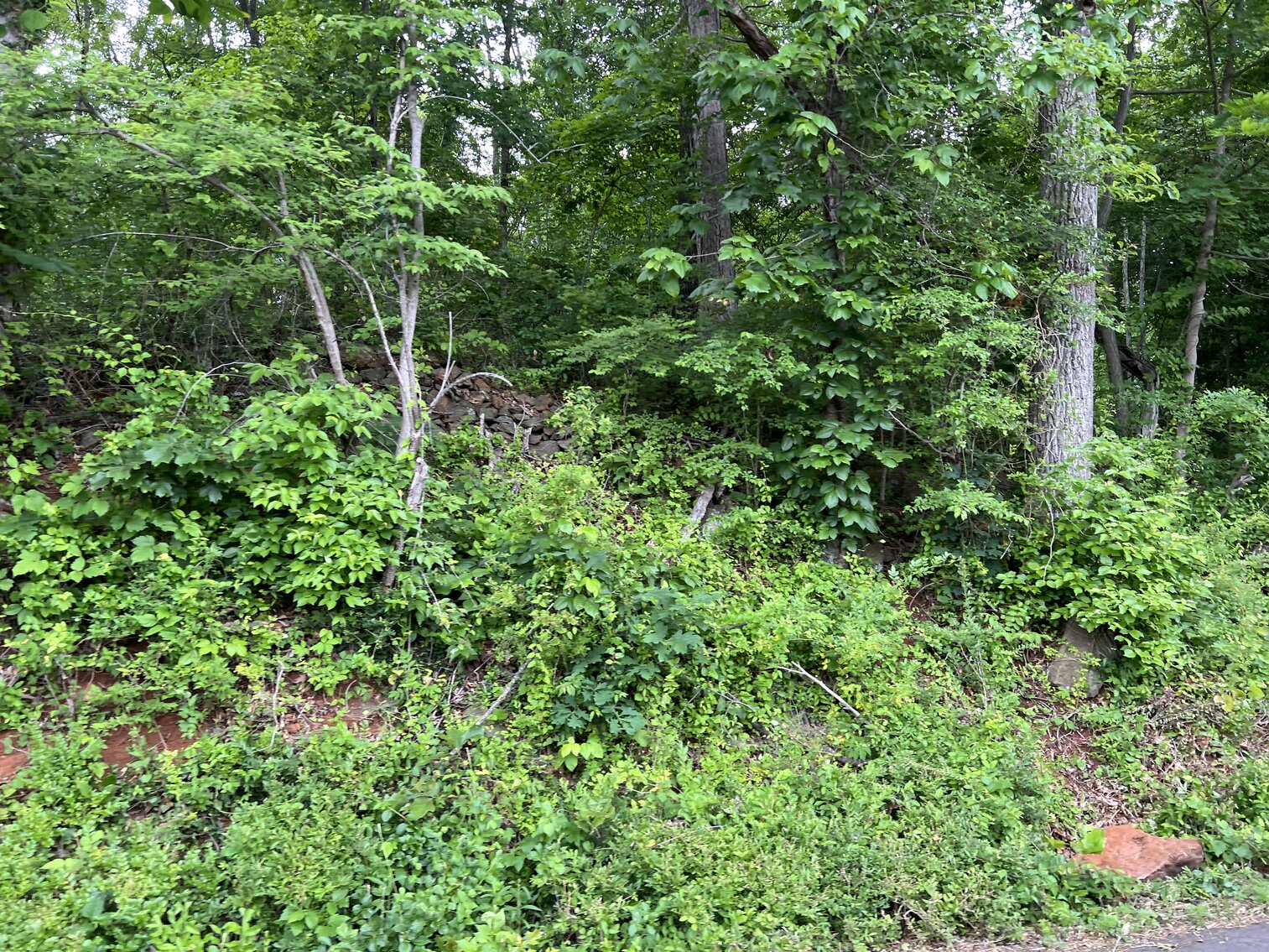 Image for 3.95 +/- Acres Featuring 8 Building Lots w/All Water & Sewer Tap Fees PAID in Fauquier County, VA--ONLINE BIDDING ONLY!!!