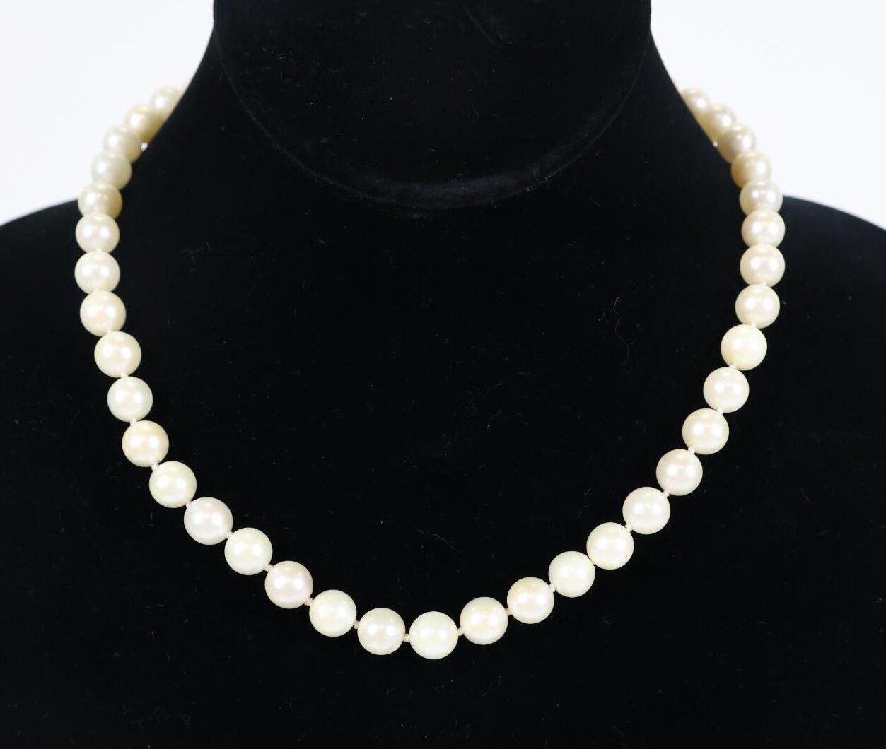 Image for Jewelry | July 26, 2023 at 7:00 PM