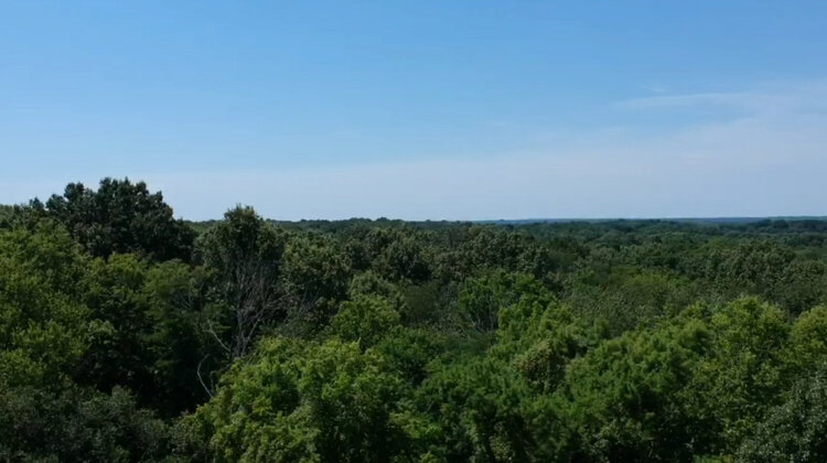 Image for Tract 2: Approx. 10.94+/- Acres