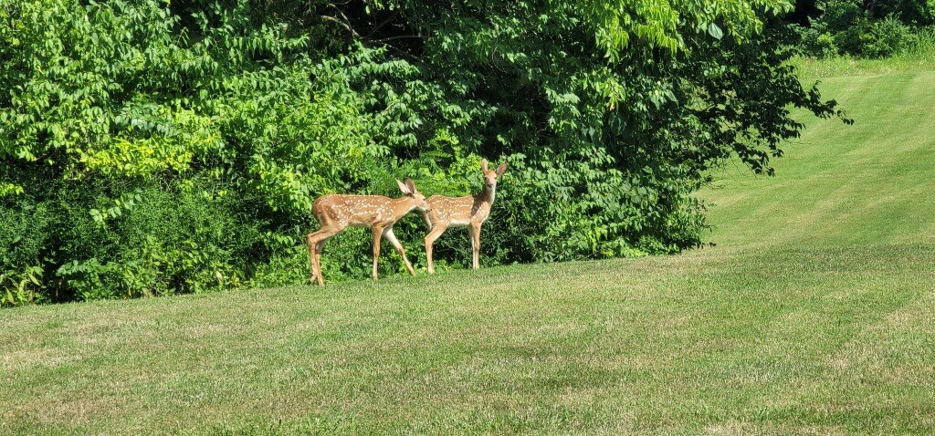 Image for Tracts: 1 & 2 Multi-Par 3 Bed, 2 Bath w/ Approx. 21.89 +/- Acres